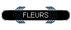 FLEURS