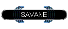 SAVANE